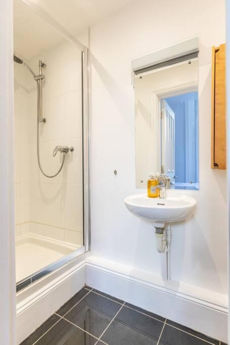 Victorian Flat Close To Station With Large Garden Διαμέρισμα Μπράιτον Εξωτερικό φωτογραφία